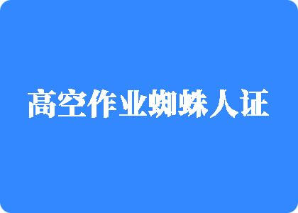 九一美女被操逼高空作业蜘蛛人证